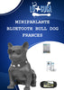 Miniparlante Bluetooth Bull Dog Frances